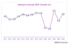 越南经济演讲(2024):P商业外国间接投 越南经济演讲(2024):P商业外国间接投